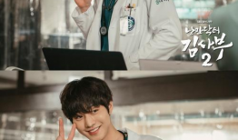 青年医生第二部电视剧,青年医生第二部，续写白衣战士的奋斗传奇