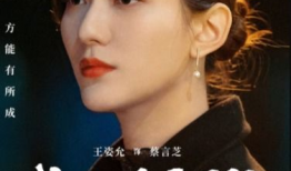 我叫赵甲第电视剧,传奇剑客的江湖传奇