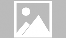 杉杉来了电视剧,甜蜜爱情与职场奋斗的完美交织